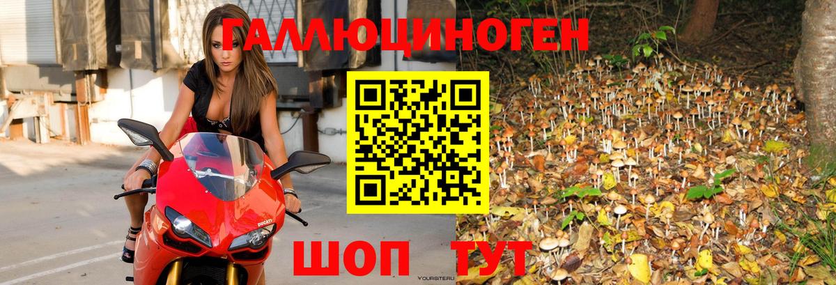 Тимашёвск  Галлюциногенные грибы MAGIC MUSHROOMS  Вход с VPN 